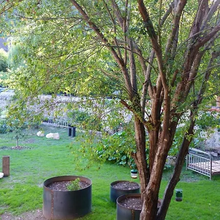 Les Jardins Sauvages Guest house Cabrerets